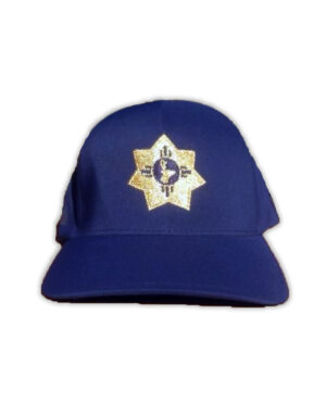 DTMMS Hat - Blue